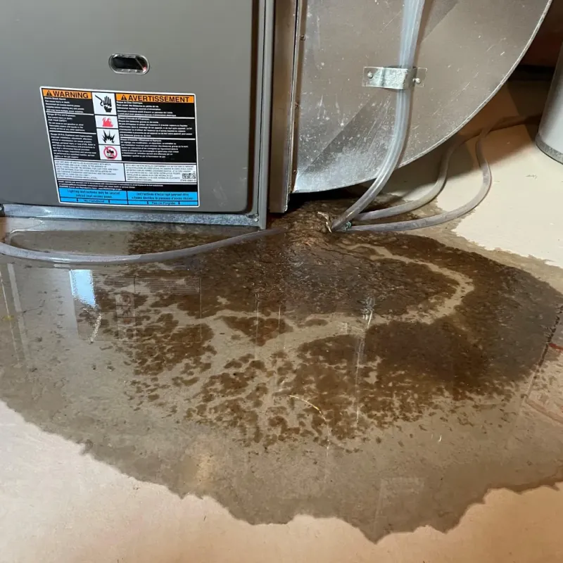 Appliance Leak Cleanup in Deep River Center, CT